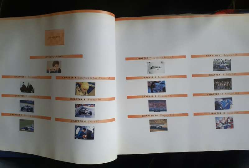 Damon Hill - My Championship Year - Formula 1 (Hardcover)