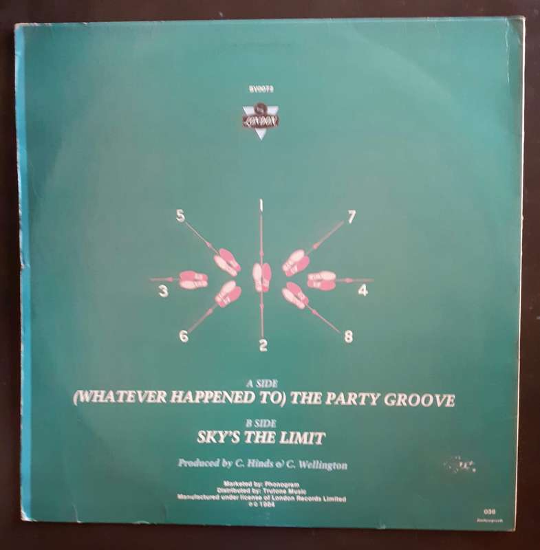 The Walkers - (Whatever Happened To) The Party Groove 12" Single Vinyl Record