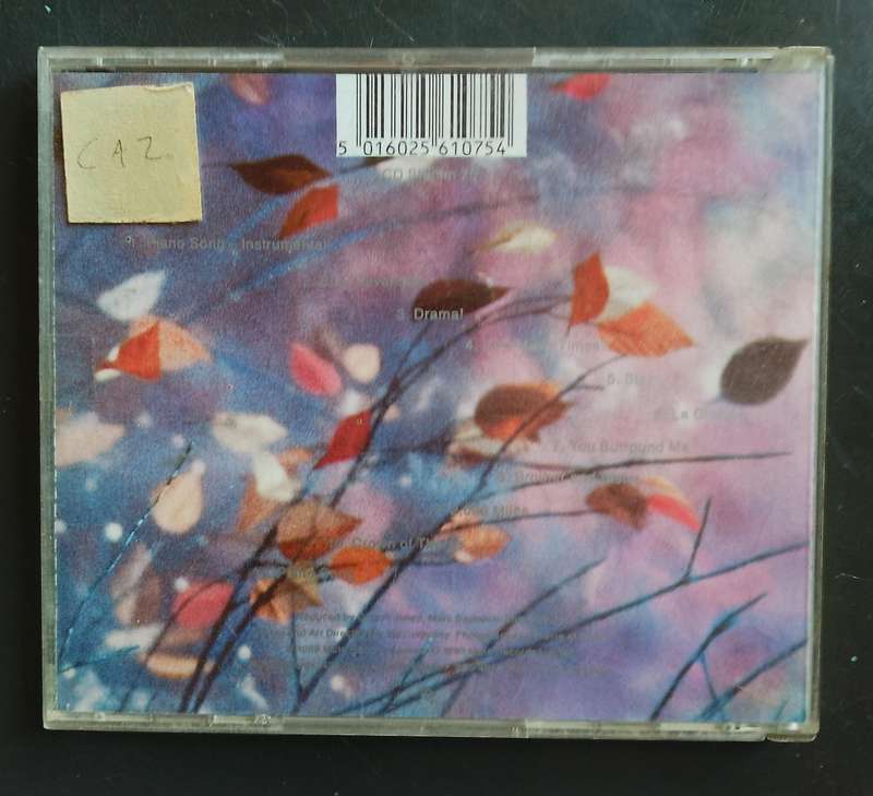 Erasure - Wild! (CD)