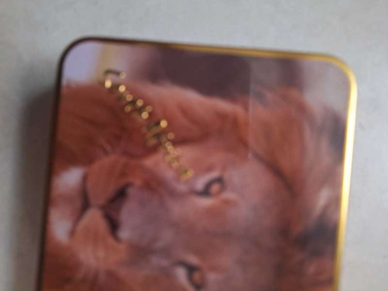 South African Tin with pic of Lion