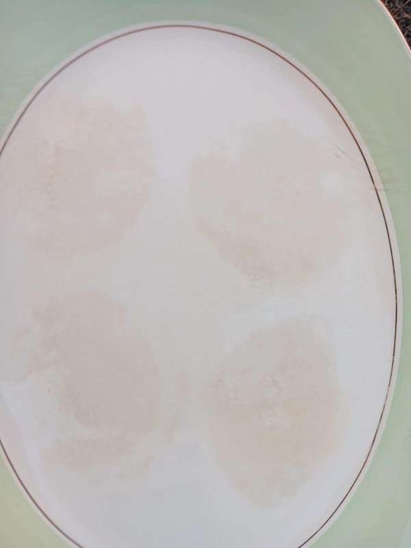 Vintage Midwinter Stylecraft Platter Fashion Shape 5-60 Staffordshire England