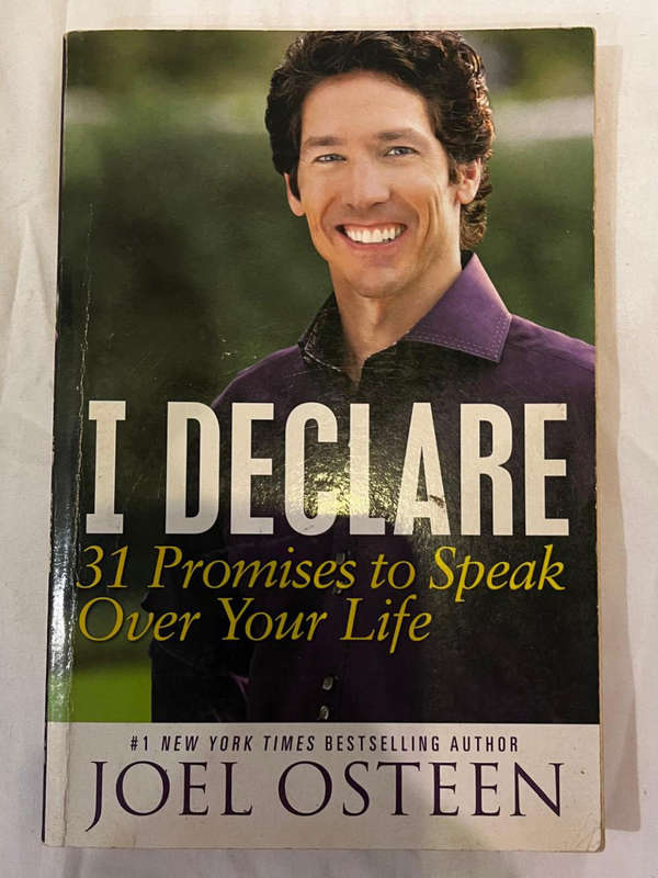 I declare by Joel Osteen