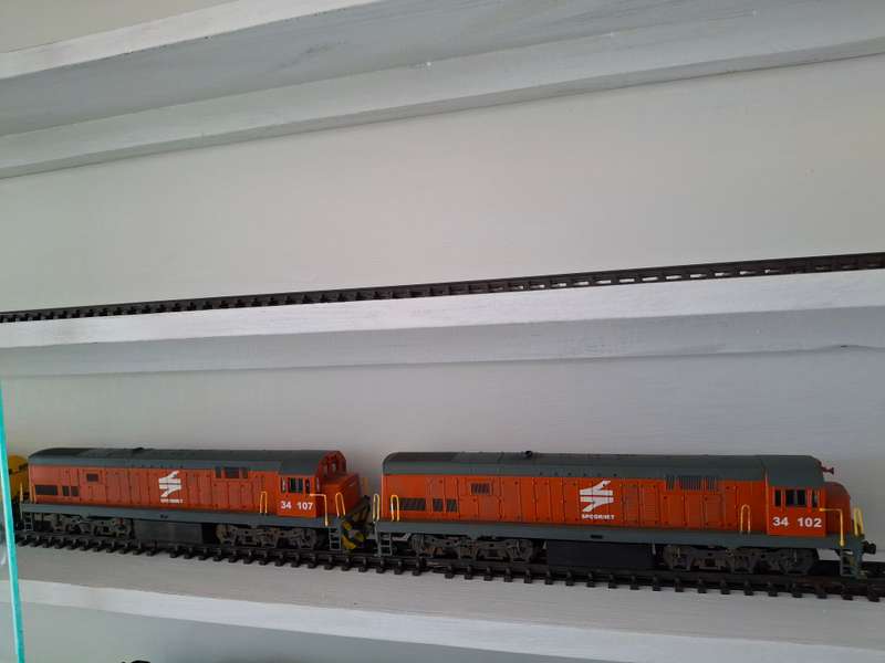 Frateschi  SAR Diesel Loco and dummy with Loksound Decoder