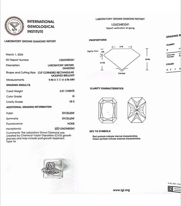3.01CT DIAMOND RING  (IGI Certified Diamond) G VS2