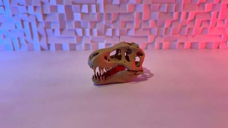 Tyrannosaurus Rex Skull .STL File