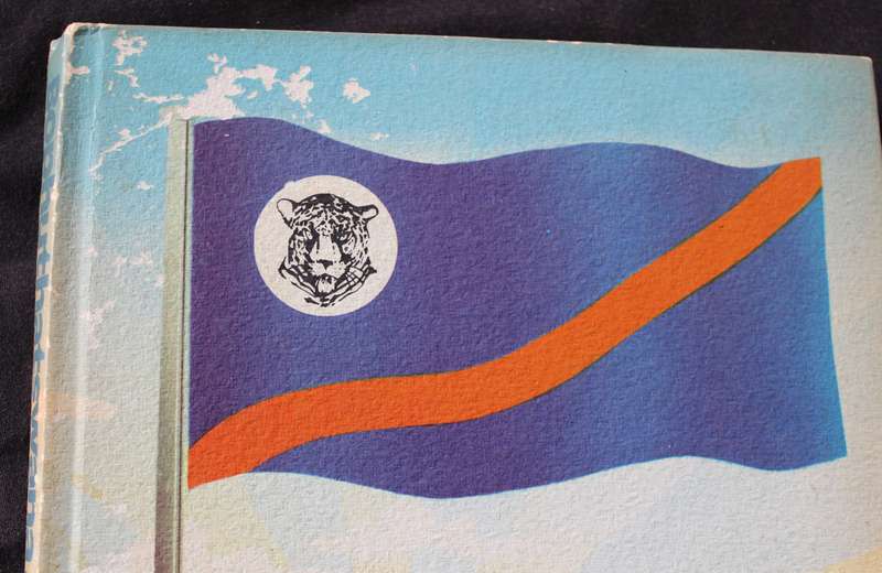 BOPHUTHATSWANA AT INDEPENDENCE. Publication of Bureau for Economic Research re Bantu Development.