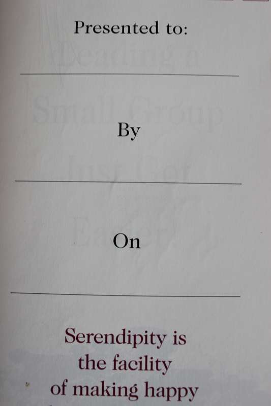 SERENDIPITY BIBLE. 10TH ANNIVERSARY EDITION. For Personal and Small Group study.
