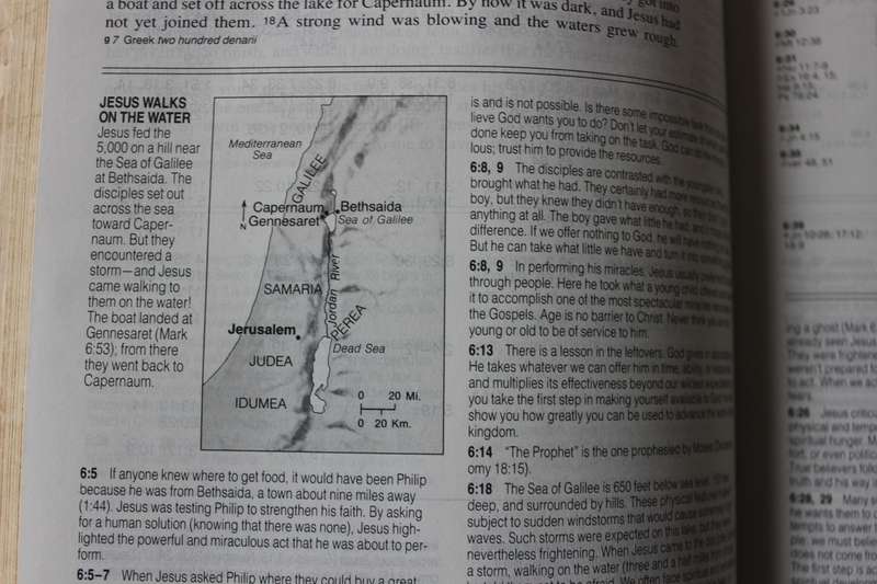 LIFE APPLICATION BIBLE. New International Version.