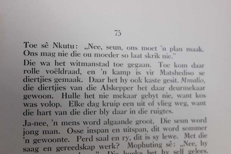 RABODUTU die Eensame deur G.H. Franz.