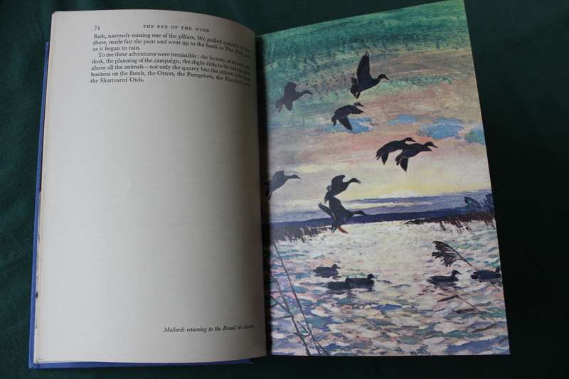 THE EYE OF THE WIND. An Autobiography. Peter Scott.