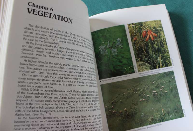 A FIELD GUIDE TO THE NATAL DRAKENSBERG. (A wildlife handbook) Pat Irwen.