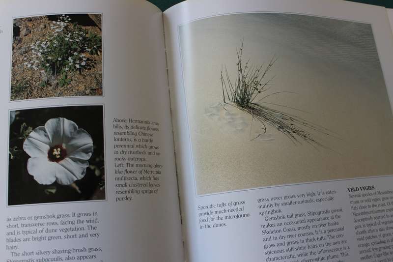 AMY SCHOEMAN. SKELETON COAST. (Skeleton Coast of Namibia)