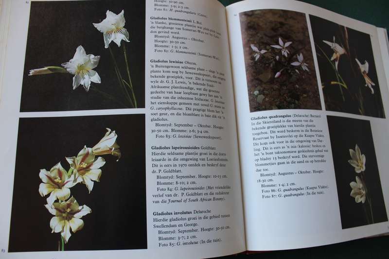G.R. DELPIERRE & N.M. DU PLESSIS. Die wintergroeiende Gladioli van Suid-Afrika.