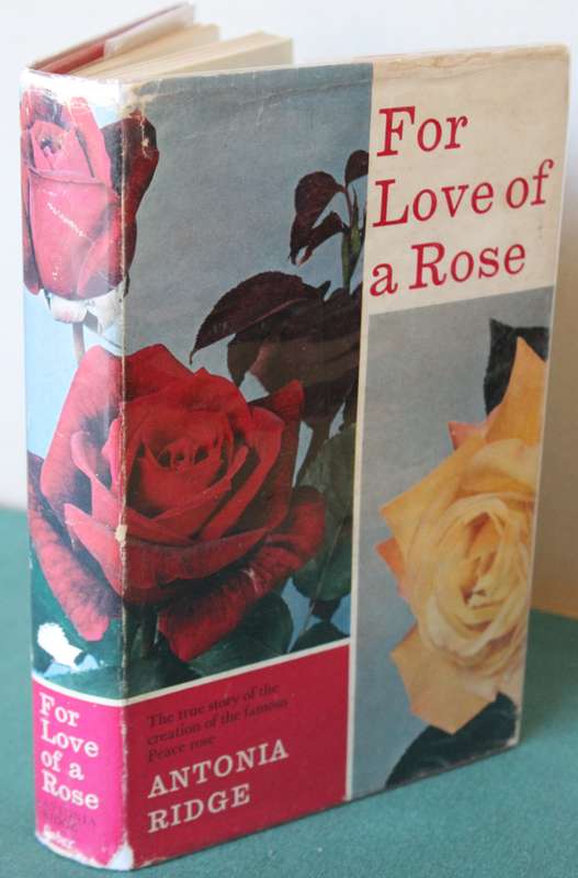 FOR LOVE OF A ROSE.