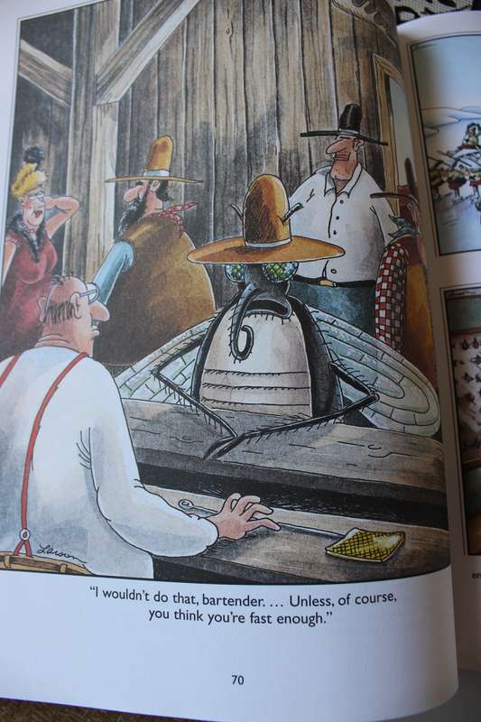 THE FAR SIDE GALLERY 4 and 5 by Gary Larson.
