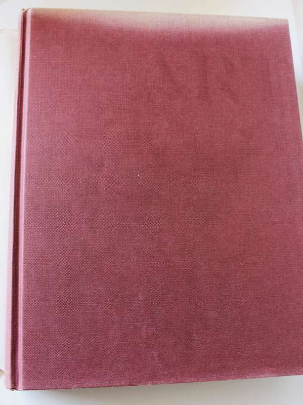 THE ILLUSTRATED HISTORY OF ART by David Piper.