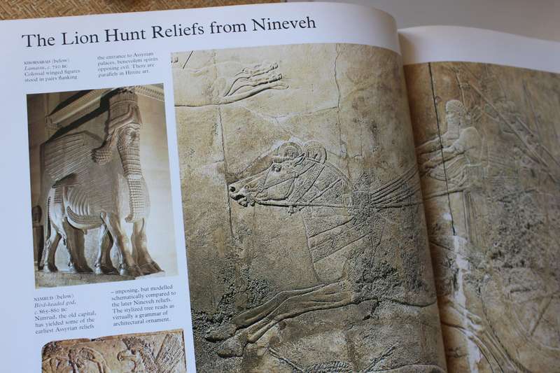 THE ILLUSTRATED HISTORY OF ART by David Piper.