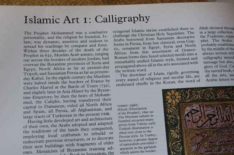 THE ILLUSTRATED HISTORY OF ART by David Piper.