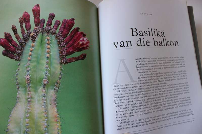 IMMERGROEN. Stories oor Plante. Dave Pepler. Foto's deur Lien Botha.
