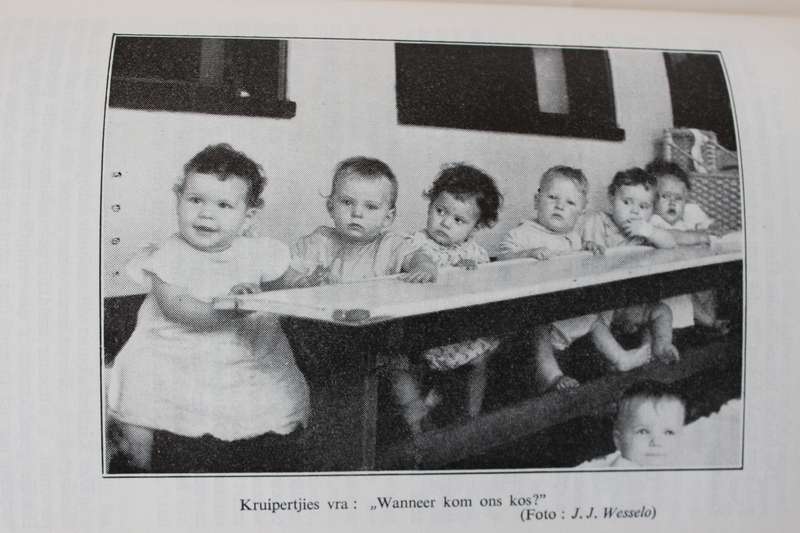 BRANDHOUT UIT DIE VUUR deur Lassie Hofmeyr. (Maria Kloppers Kinderhawe)