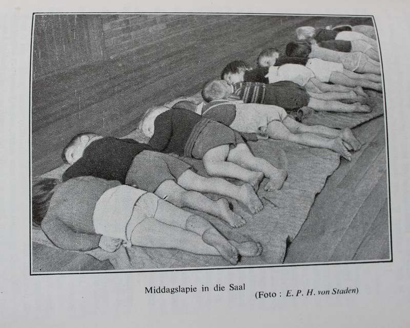 BRANDHOUT UIT DIE VUUR deur Lassie Hofmeyr. (Maria Kloppers Kinderhawe)