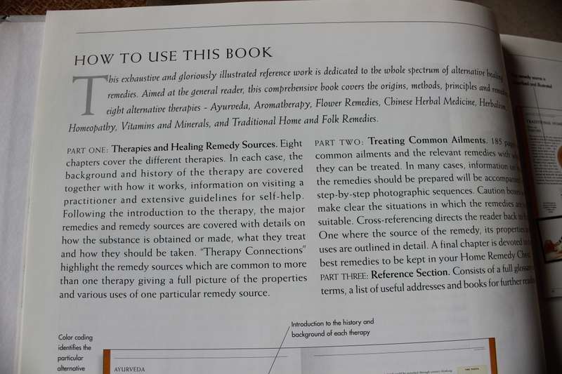 THE ILLUSTRATED ENCYCLOPEDIA of HEALING REMEDIES. C. Norman Shealy.