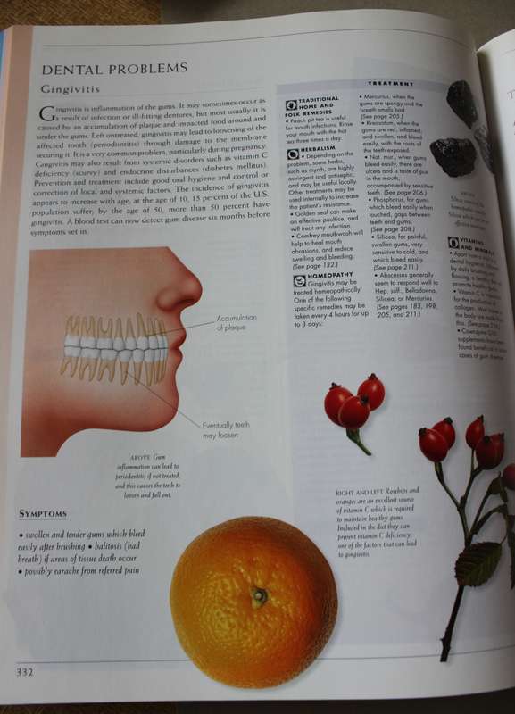 THE ILLUSTRATED ENCYCLOPEDIA of HEALING REMEDIES. C. Norman Shealy.