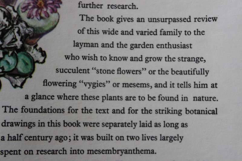 THE GENERA OF THE MESEMBRYANTHEMACEAE  by H. Herre.