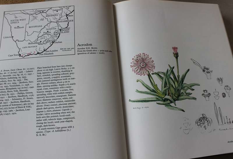 THE GENERA OF THE MESEMBRYANTHEMACEAE  by H. Herre.