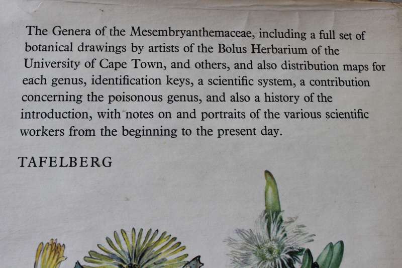 THE GENERA OF THE MESEMBRYANTHEMACEAE  by H. Herre.