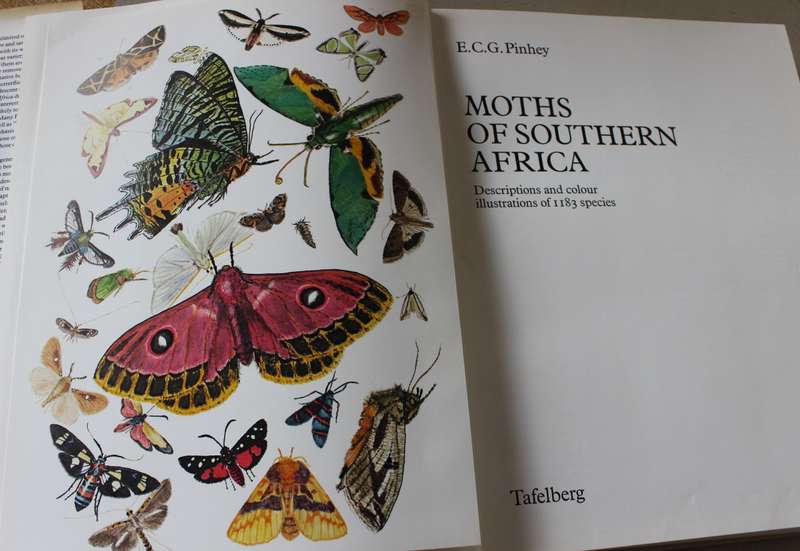 Moths of Southern Africa by E.C.G. Pinhey - 1183 species, color illustrations