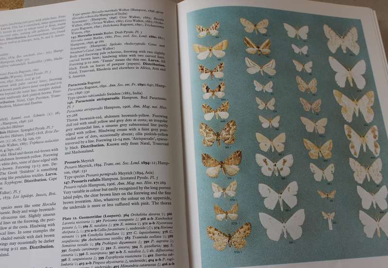 Moths of Southern Africa by E.C.G. Pinhey - 1183 species, color illustrations