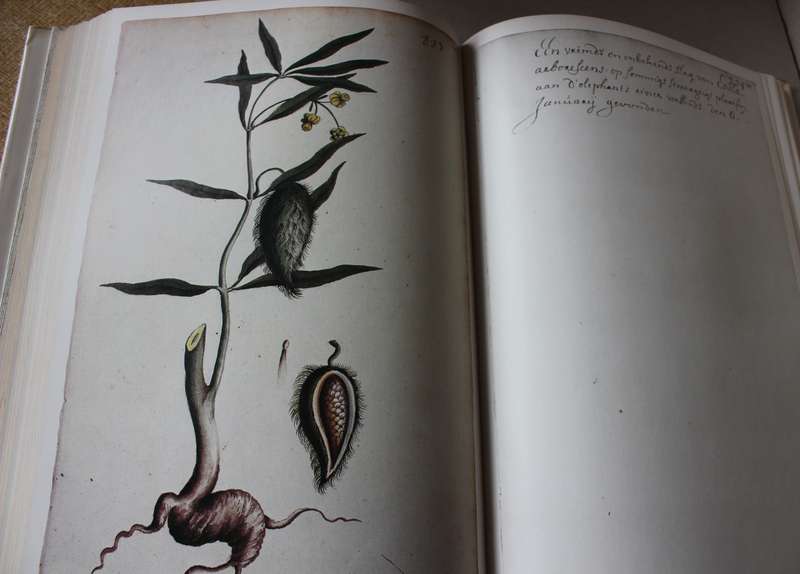SIMON VAN DER STEL'S JOURNEY TO NAMAQUALAND in 1685. Transcription G.C. de Wet.