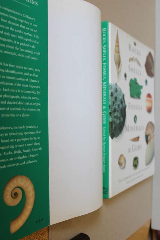 ROCKS, SHELLS, FOSSILS, MINERALS AND GEMS (Complete Collector's Companion) by Harriet Stewart-Jones