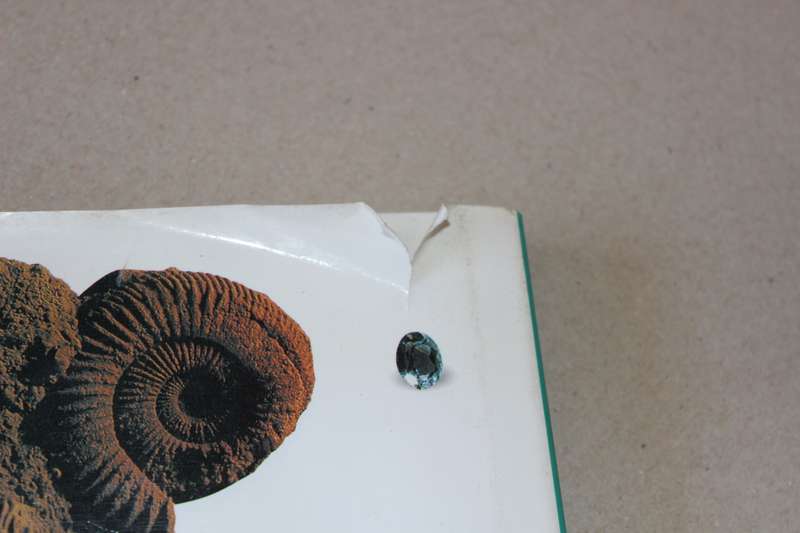 ROCKS, SHELLS, FOSSILS, MINERALS AND GEMS (Complete Collector's Companion) by Harriet Stewart-Jones