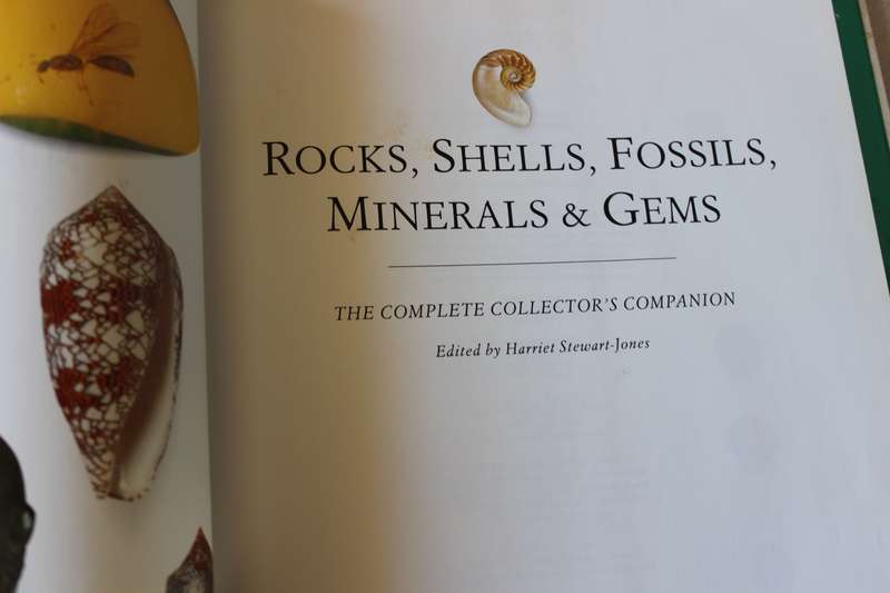 ROCKS, SHELLS, FOSSILS, MINERALS AND GEMS (Complete Collector's Companion) by Harriet Stewart-Jones