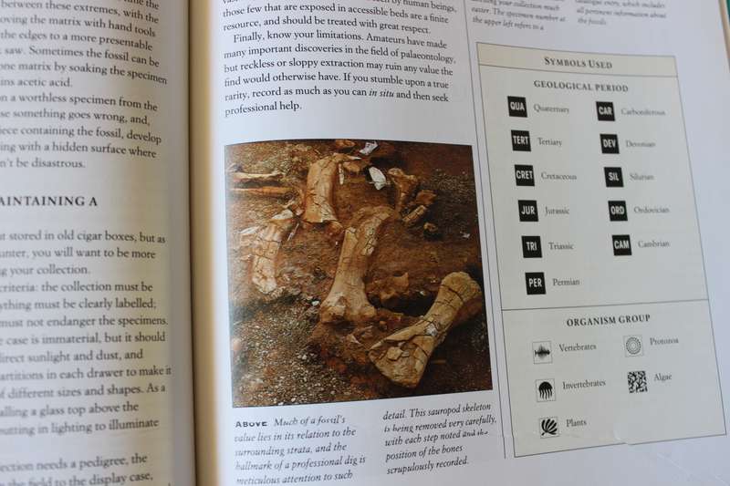 ROCKS, SHELLS, FOSSILS, MINERALS AND GEMS (Complete Collector's Companion) by Harriet Stewart-Jones