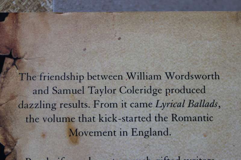 THE FRIENDSHIP by Adam Sisman (The friendship beween Wordsworth and Coleridge - both poets)