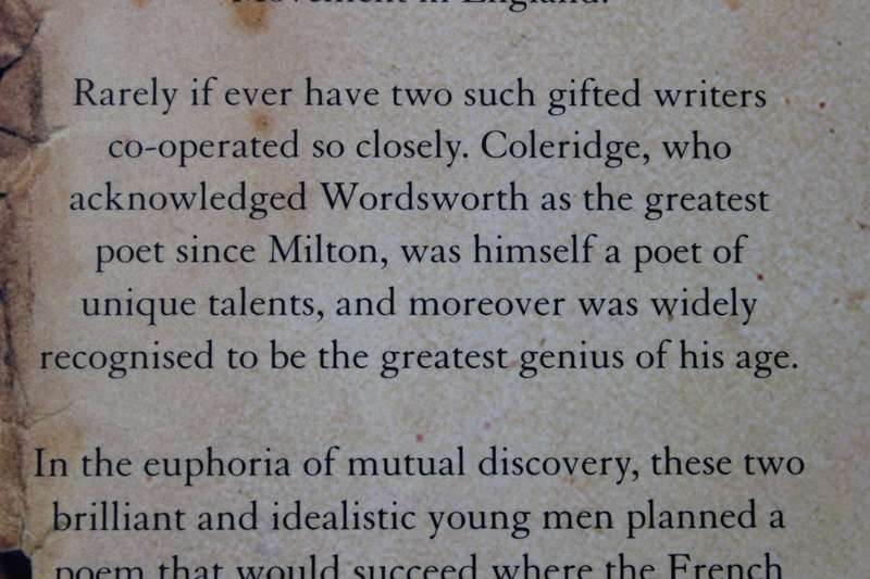 THE FRIENDSHIP by Adam Sisman (The friendship beween Wordsworth and Coleridge - both poets)