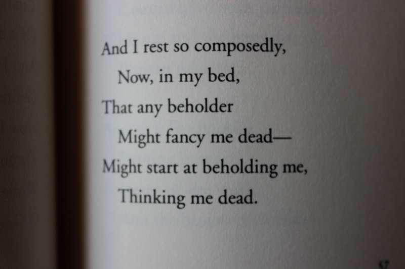 THE RAVEN AND OTHER POEMS AND STORIES  by Edgar Allan Poe