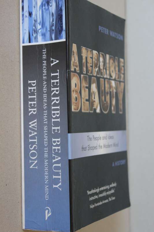 A TERRIBLE BEAUTY  by Peter Watson (The People and Ideas that shaped the modern mind)
