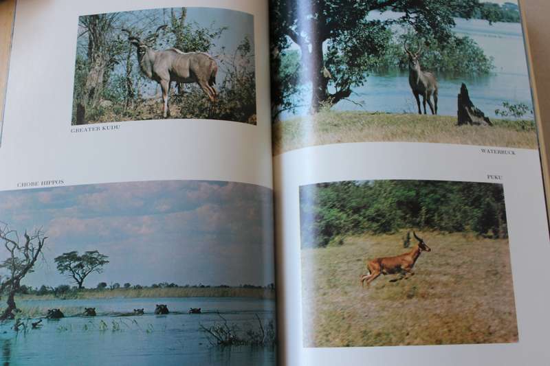 THE LAST WILDERNESS by Nicholas Luard (Journey across the Great Kalahari Desert)