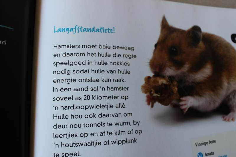 ONTDEK DIE DIERERYK  Uit Duits vertaal deur Amelia de Vaal