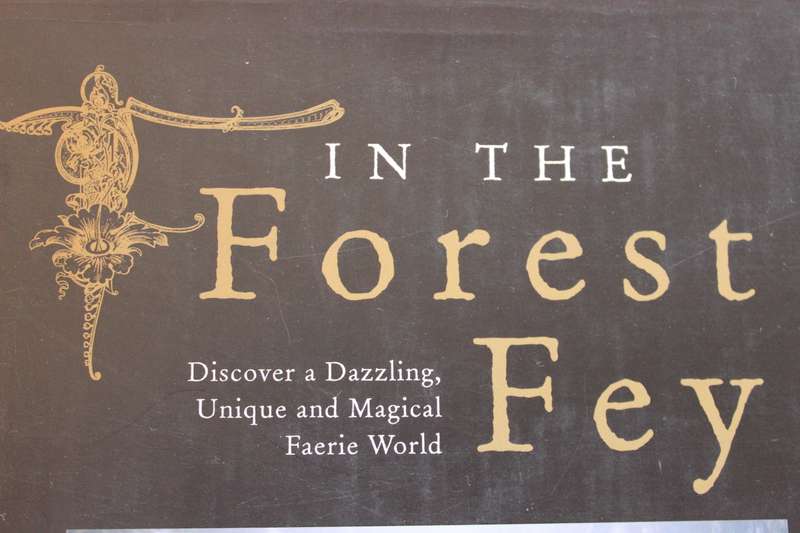 IN THE FOREST FEY  by Vanessa-Gaye & Kery-Gaye Schiff