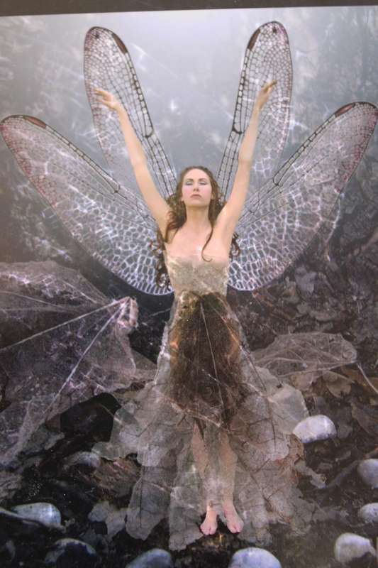 IN THE FOREST FEY  by Vanessa-Gaye & Kery-Gaye Schiff