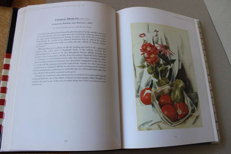 ESSENTIAL HISTORY OF AMERICAN ART  by Suzanne Bailey