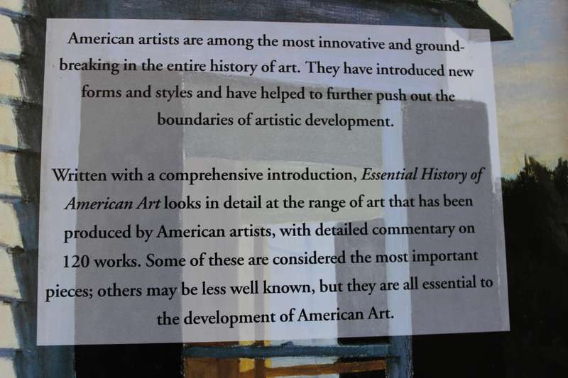 ESSENTIAL HISTORY OF AMERICAN ART  by Suzanne Bailey
