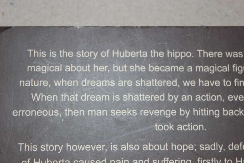HUBERTA THE UNTOLD STORY  by Jean Marx-Engelbrecht (The story of a hippo)