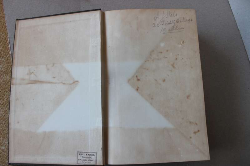 THE ELEMENTS OF JURISPRUDENCE  by Thomas Erskine Holland D.C.L. (Ninth Edition 1905)