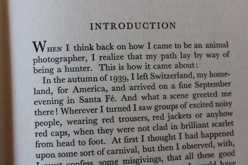 PERIL IS MY COMPANION  by Helen Fischer (Hunting and photographing in Africa) 1957